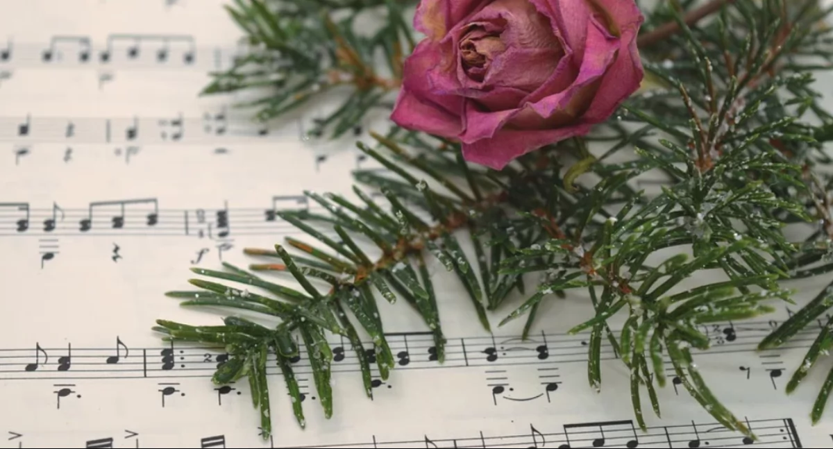 Koncert kolęd w Żukowie. Wystąpią chóry Harmonia i Ascoltate 