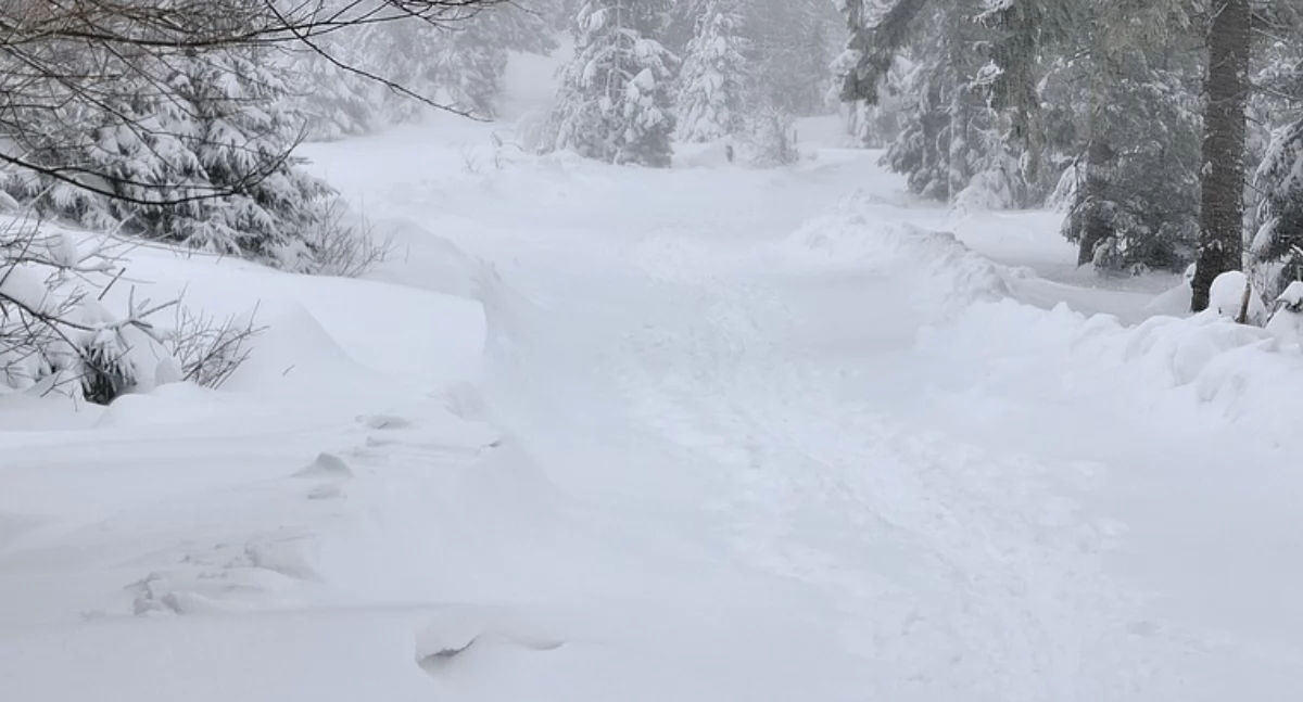 Nawet 30 cm śniegu. IMGW wydał ostrzeżenia dla powiatu kartuskiego