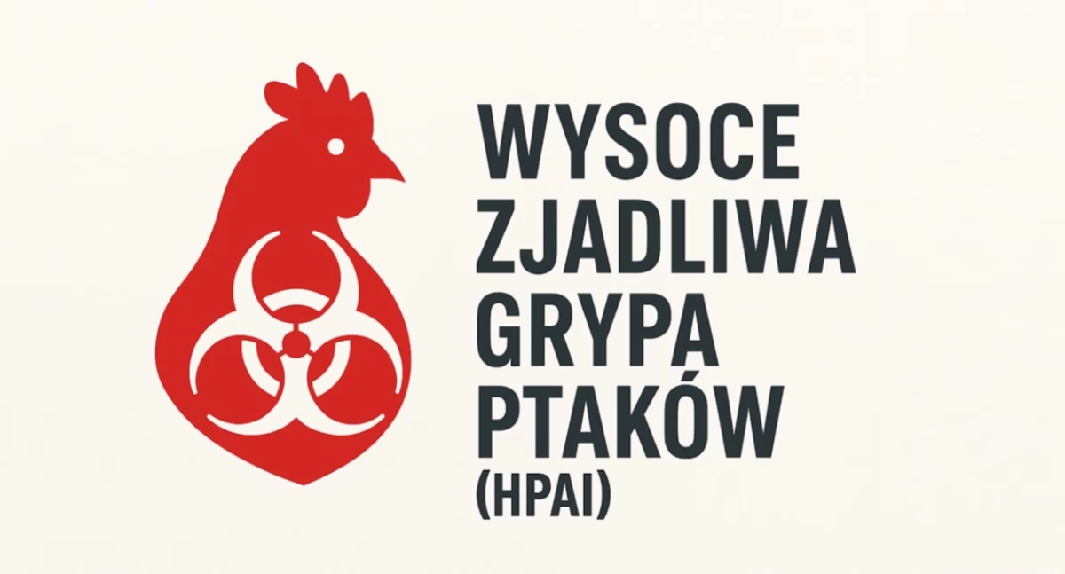 Ptasia grypa w powiecie. Wojewoda rozszerza obszar zagrożony
