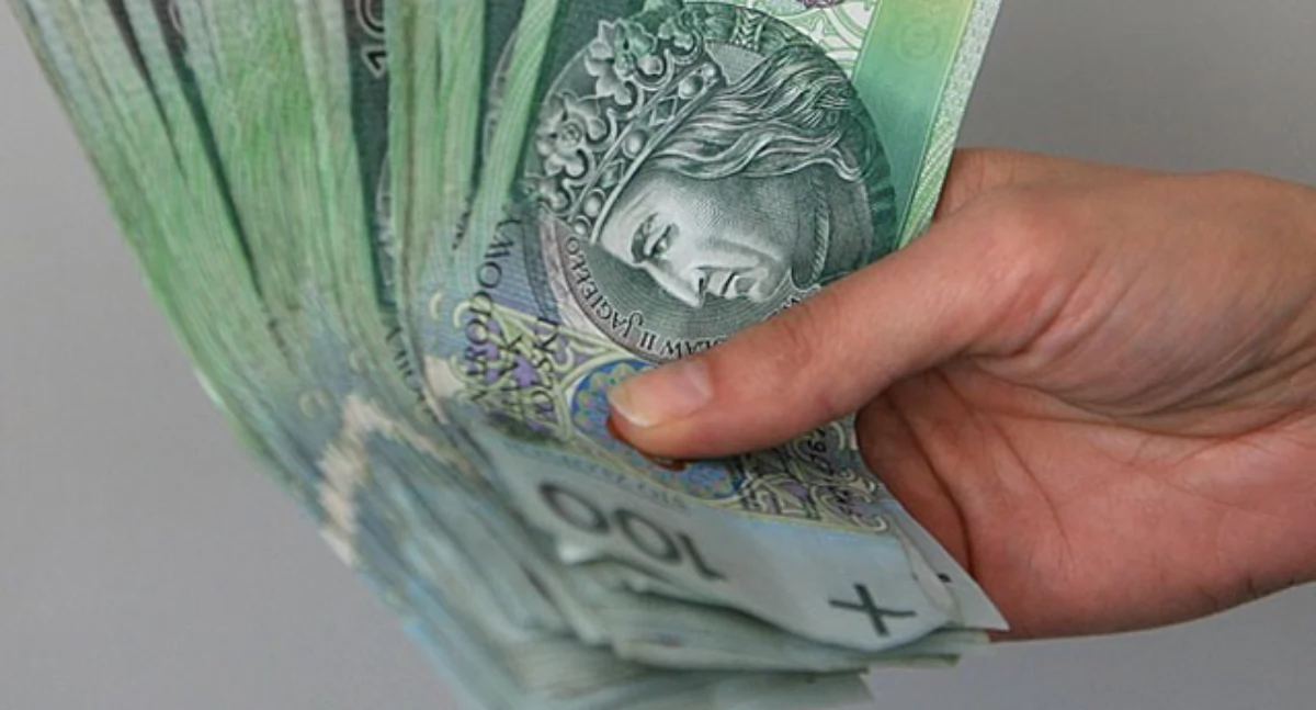 Gmina Przodkowo ogłasza konkurs dla NGO. Do rozdysponowania 85 tys. zł
