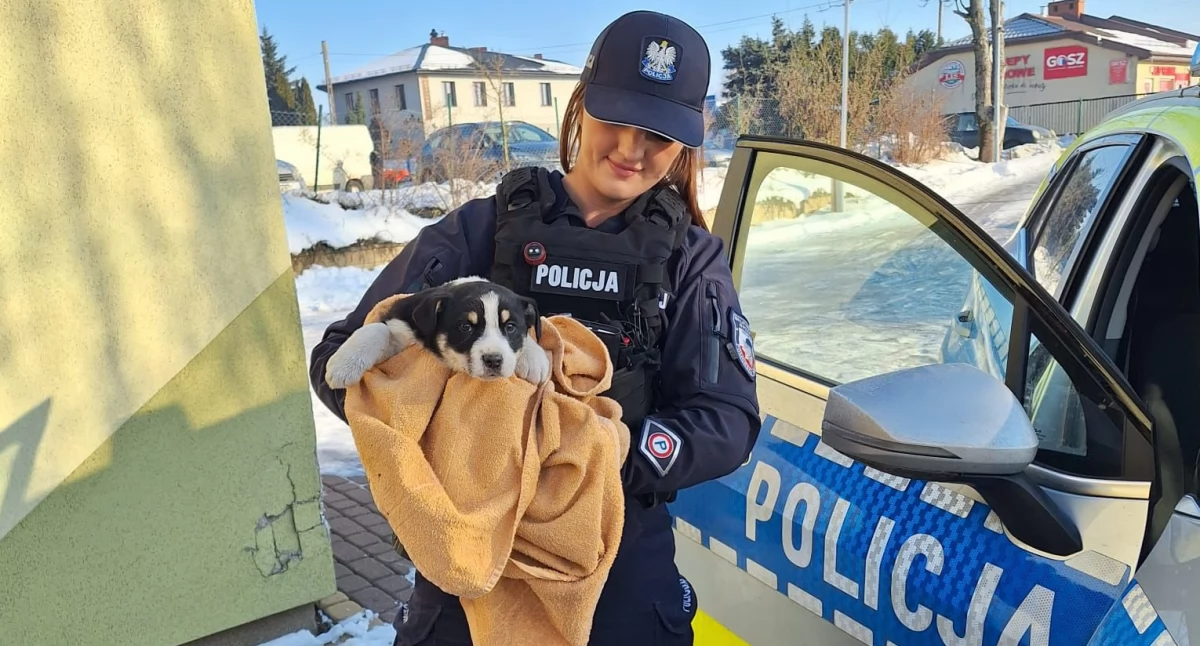 Nieobojętność ratuje życie. Szczeniak uratowany dzięki szybkiej reakcji mieszkańców i policji