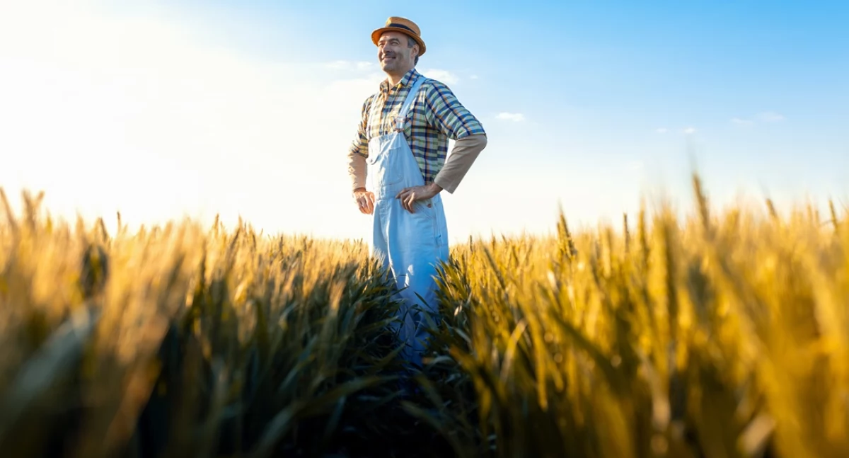 Jak zdobyć kwalifikacje rolnicze i rozpocząć pracę w branży agro?     