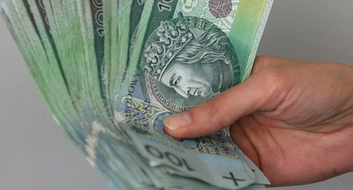 Ponad 85 tys. zł dla organizacji pozarządowych. Gmina Somonino rozstrzygnęła konkurs ofert