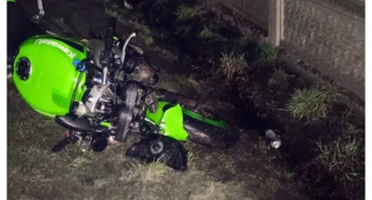 Motocyklista zderzył się z dzikiem - dwie osoby w szpitalu