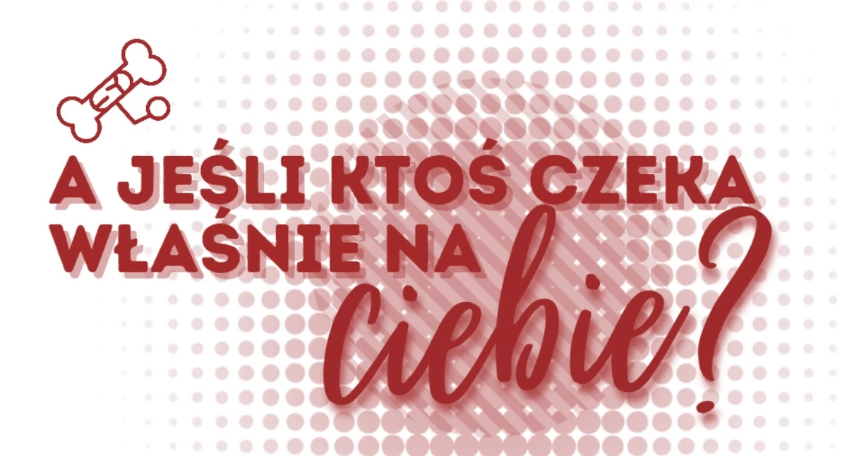 „My już pomagamy – a Ty?” Akcja krwiodawstwa i rejestracji dawców szpiku w Sierakowicach