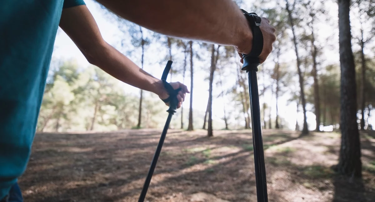 Bukowo. Wtorkowy Nordic Walking - leśna trasa i dobra energia