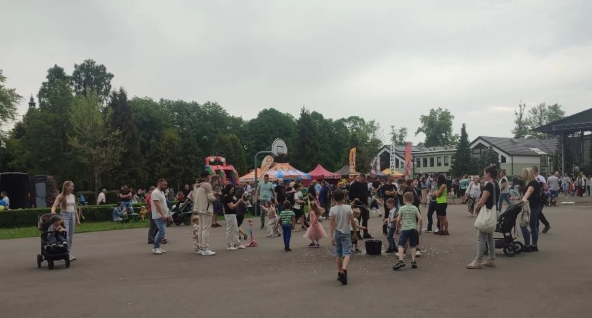 Food & Fun Festiwal. Dzień Dziecka i Festiwal Foodtrucków w Kartuzach