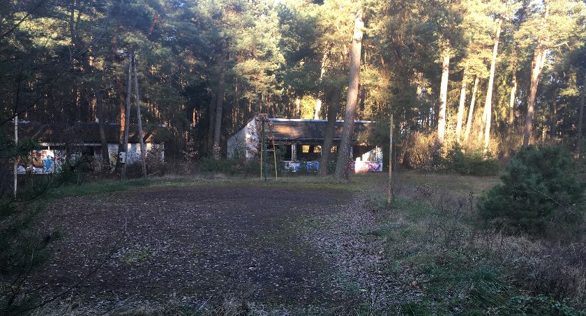 Teren po byłym campingu w Borowie zmieni się w plac rekreacyjny? Jest zgoda Lasów Państwowych