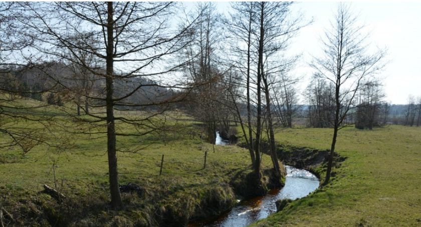 Głusino