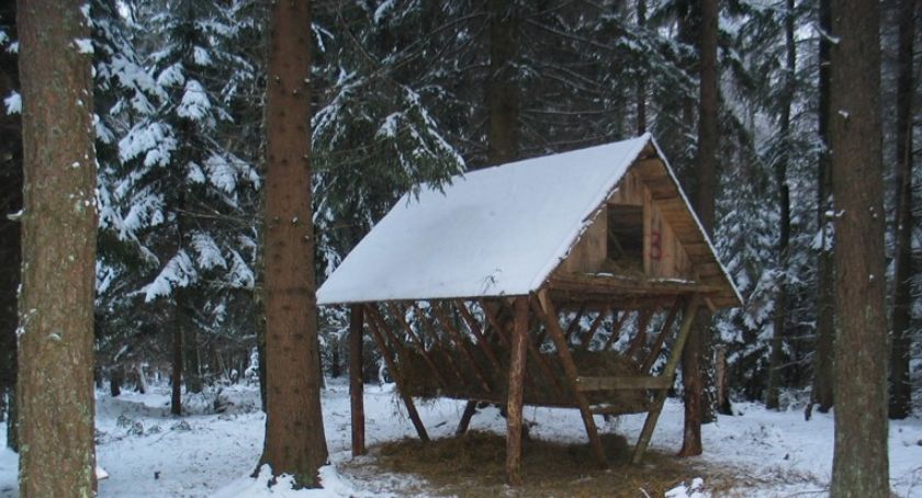 Rezerwat przyrody 