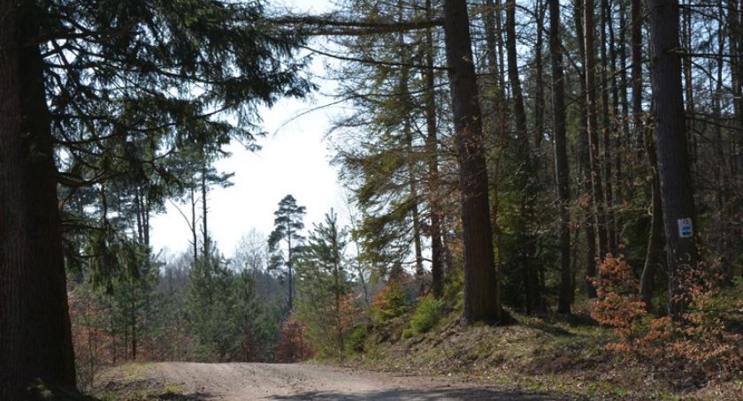 Samochodowa trasa Rezerwatów Kaszubskiego Parku Krajobrazowego