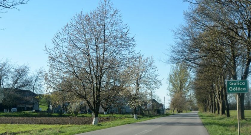 Golica