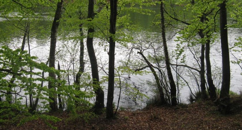 Jezioro Lubygość (Lubogoszcz)