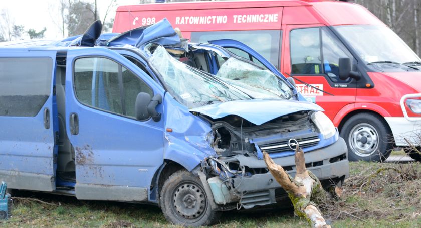 Łyśniewo. Drzewo spadło na samochód - nie żyje 51-letni mężczyzna