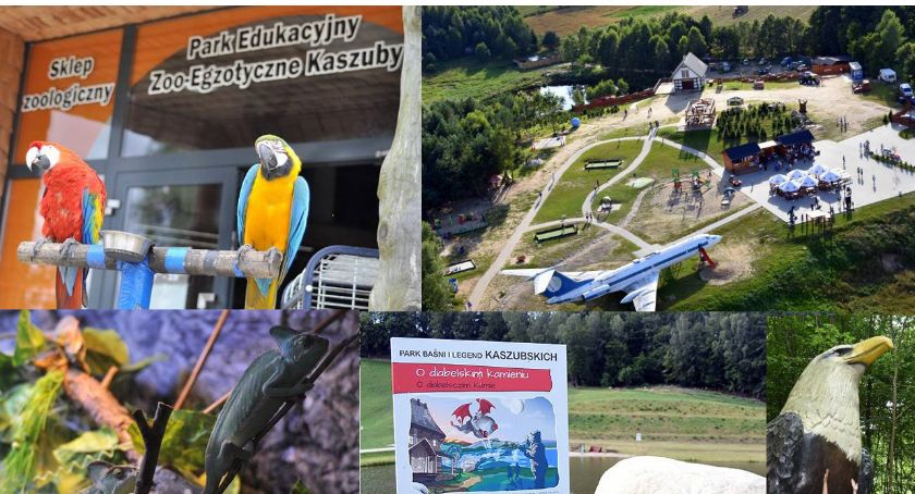 Atrakcje turystyczne w nowych realiach - sprawdź, co przygotowują najpopularniejsze obiekty w powiecie
