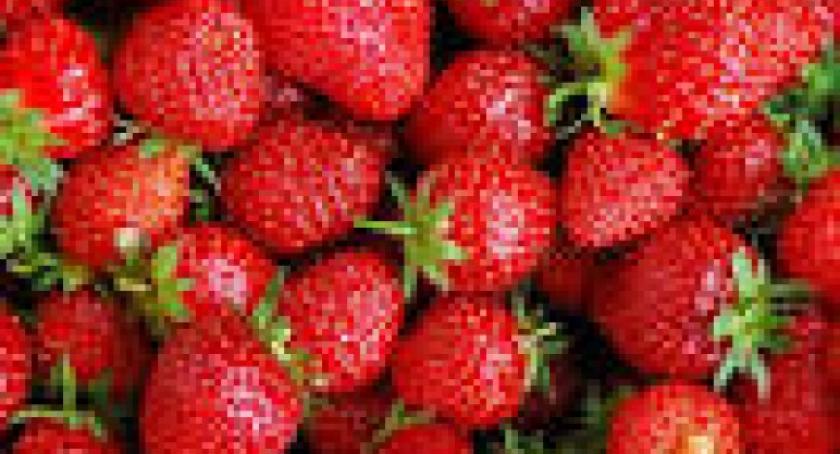 Konkurs na najlepszy produkt z truskawek jednak się odbędzie!