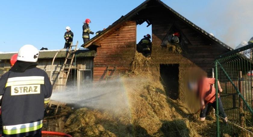Skrzeszewo. Płonęła stodoła - jedna osoba poszkodowana