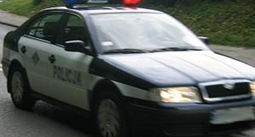 Penetrowali lasy i drogi