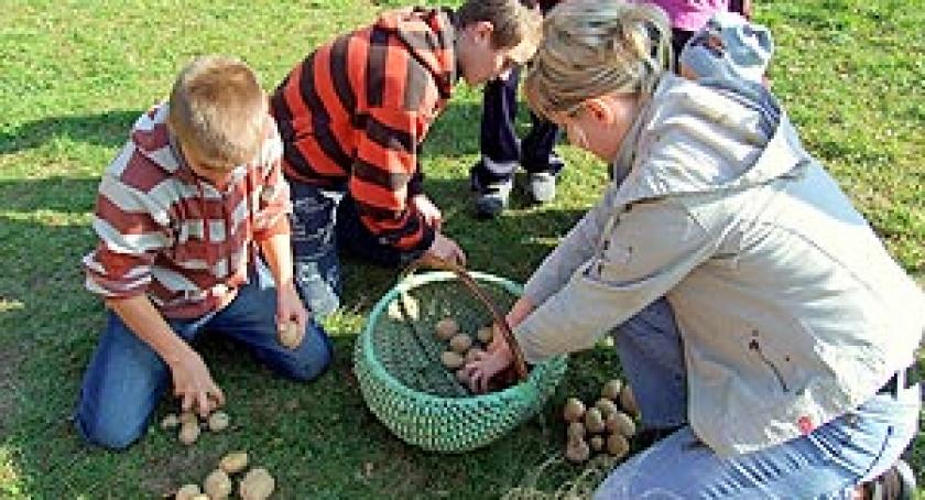 Dzień Pieczonego Ziemniaka w Wilanowie