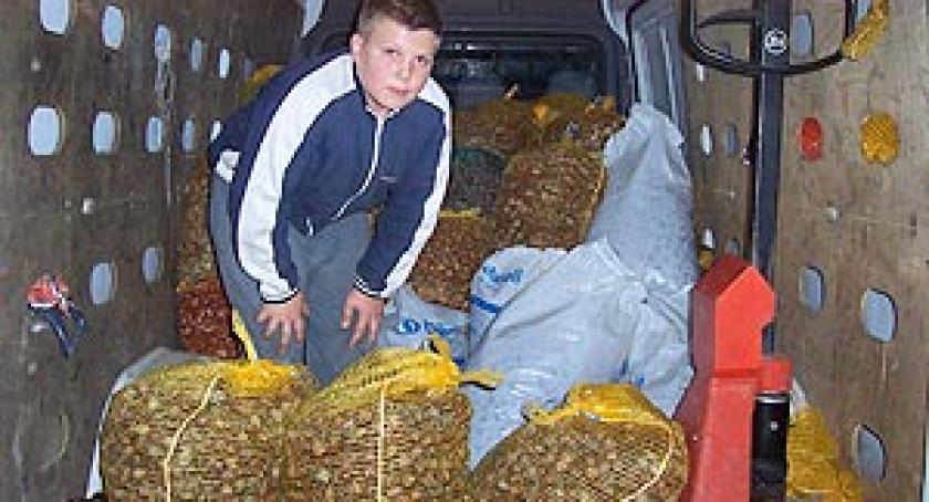 Zebrali prawie 400 kg kasztanów i zajęli II miejsce