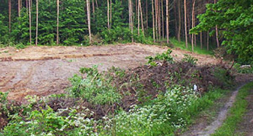 W kartuskim lesie znaleziono zwłoki mężczyzny