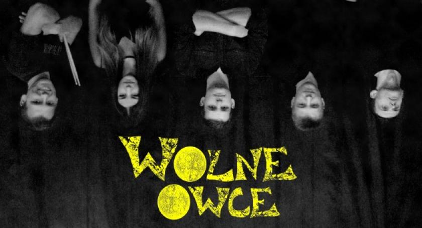 Kartuzy. Rock and Roll w wykonaniu Wolnych Owiec w Antykwariacie
