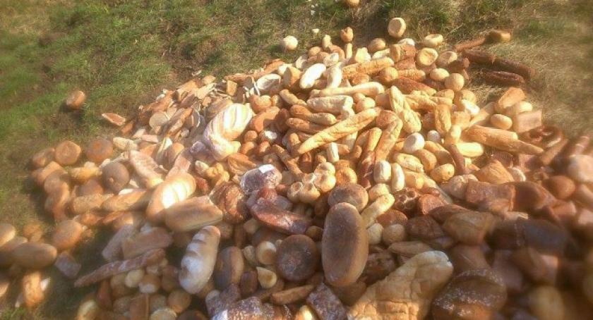 Dzierżążno. Kilkadziesiąt kilogramów chleba...w lesie