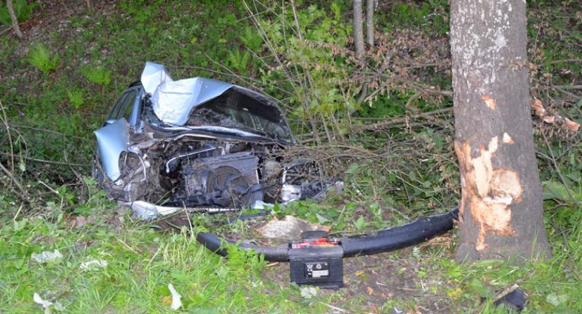 Łapalice. Peugeot uderzył w drzewo i wylądował w rowie