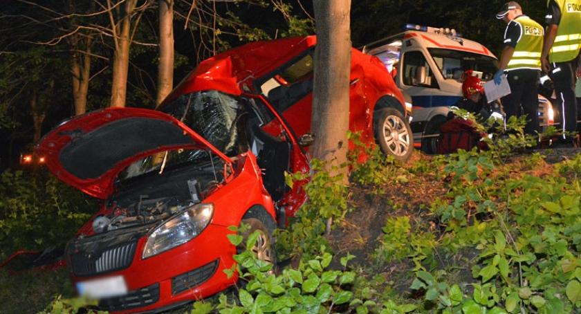 Kartuzy - Kosy. Skoda rozbiła się na drzewie - nie żyje 51-latek 