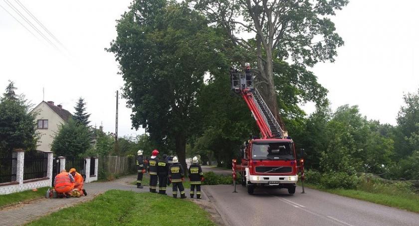 Garcz. Droga zablokowana - drzewo pochyliło się nad jezdnią