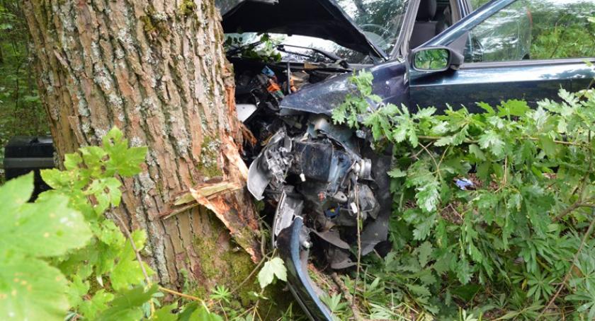 Mściszewice - Tuchlino. Renault wypadło z drogi i uderzyło w drzewo 