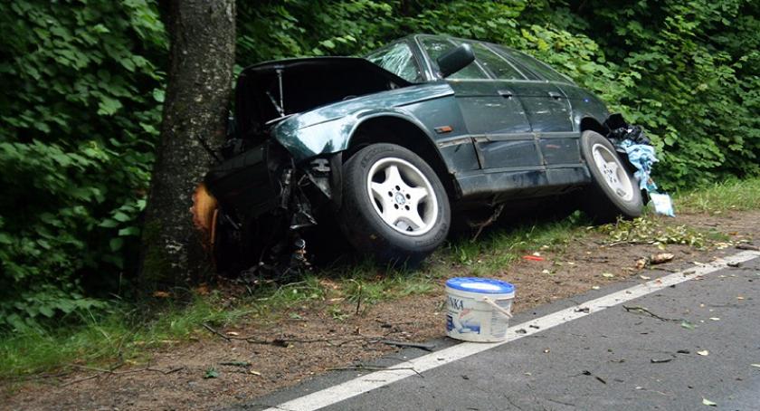 Wygoda Sierakowska. BMW uderzyło w drzewo