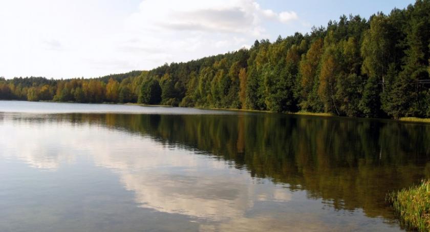 Już dziś oddaj głos na 