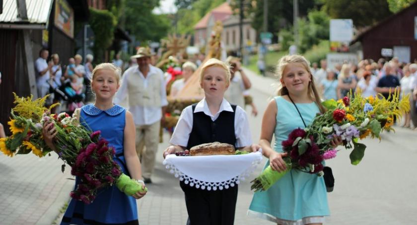 Powiat. Sprawdź, jak świętowano dożynki w pięciu gminach