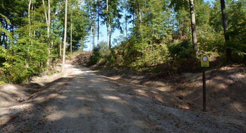 Kartuzy. Wybudowali nową drogę. Teraz karzą mandatami