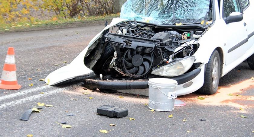 Kożyczkowo. Peugeot uderzył w drzewo