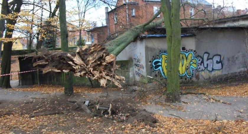Powiat. Wichury, powalone drzewa i przerwy w dostawach prądu