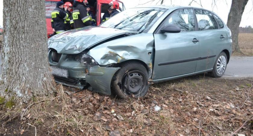 Egiertowo. Samochód uderzył w drzewo, jedna osoba poszkodowana