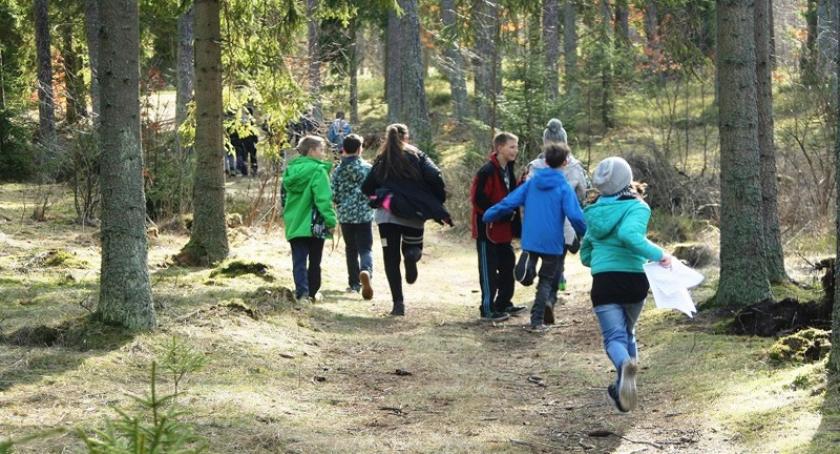 Szymbark. Dzieci wzięły udział w warsztatach przyrodniczych