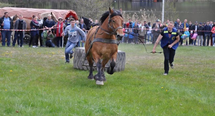 Wiśta Wio!Zmagania kuczerów na kaszubską nutę w Ostrzycach