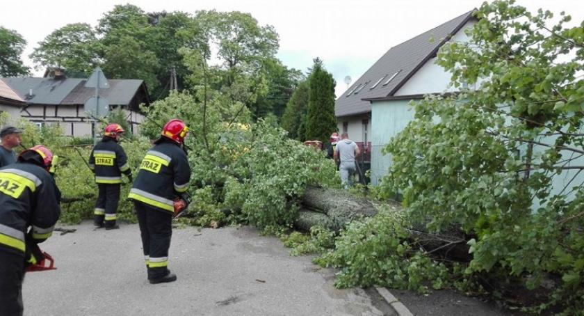 Powalone drzewa i zalane pola - strażacy interweniują