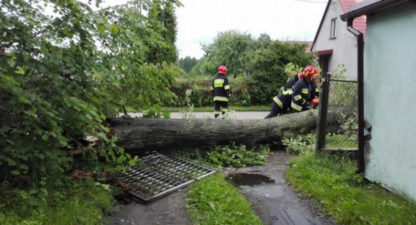 Burza nad Kaszubami znów wyrządza szkody - strażacy interweniują