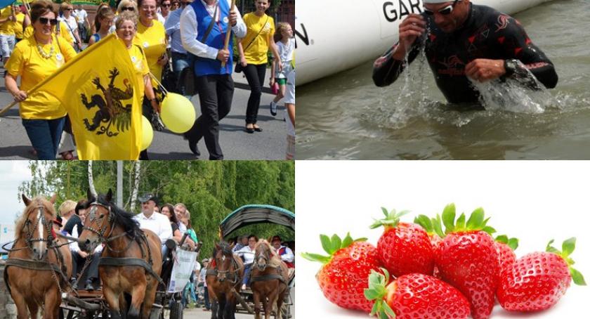 Weekend z bluesem, Zjazdem Kaszubów, festiwalem truskawek i triathlonem