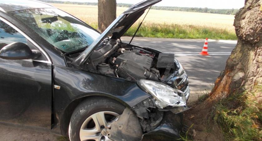 Barniewice. Opel uderzył w drzewo
