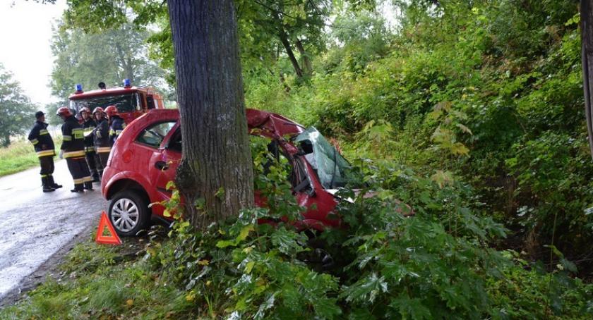 Ręboszewo. Opel uderzył w drzewo