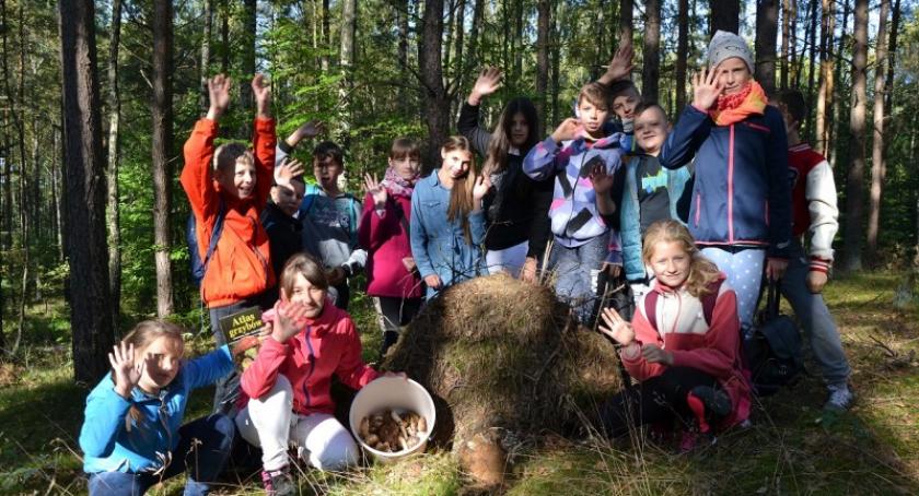 Szymbark. Wielkie powiatowe grzybobranie