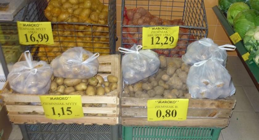 Wykopki są marne, ziemniaki gniją