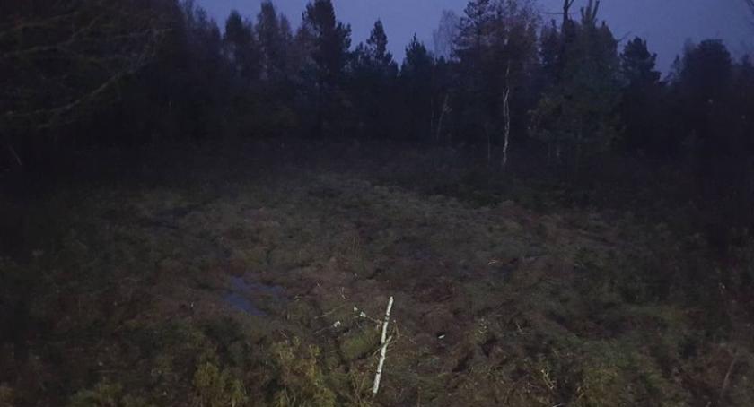 Sławki Górne. Strażacy uratowali konie, które ugrzęzły w bagnie