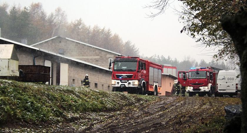 Kiełpino. Pożar w kurniku na ulicy Osiedlowej