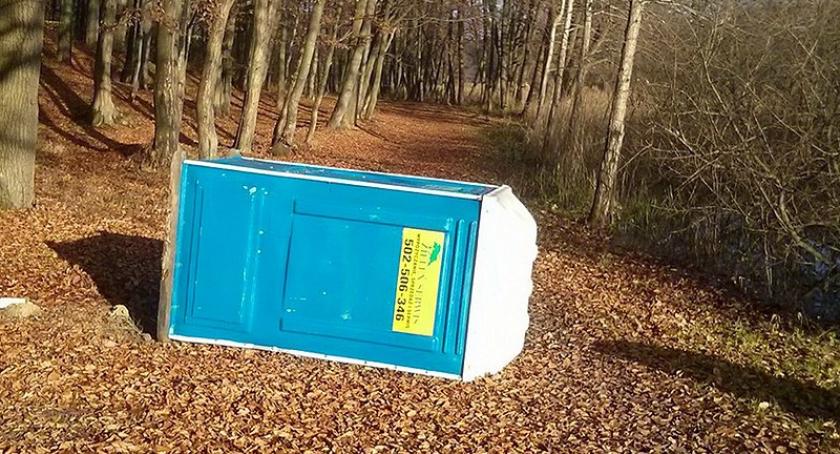 Kartuzy. Wandale znowu zdemolowali Gaj Świętopełka. Będzie monitoring?